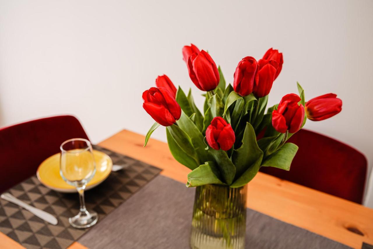 City Apartment Dorobantilor Cluj-Napoca Extérieur photo