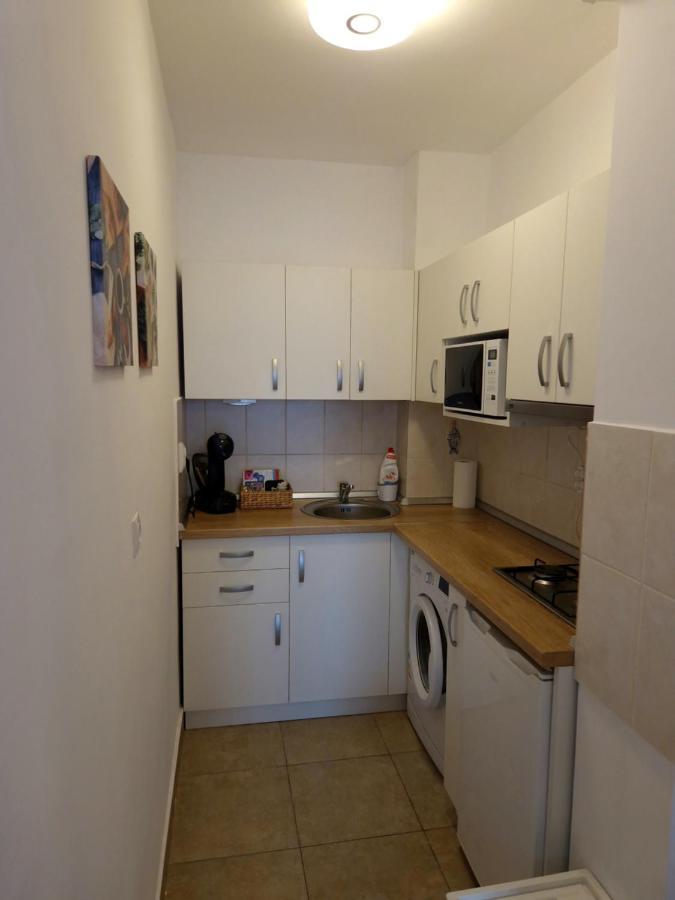 City Apartment Dorobantilor Cluj-Napoca Extérieur photo